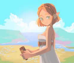 Rule 34 | 1girl, bare arms, bare shoulders, blonde hair, blue sky, blush, braid, closed mouth, cloud, commentary, crown braid, day, dress, english commentary, from side, green eyes, highres, looking at viewer, looking to the side, nintendo, outdoors, pointy ears, princess zelda, sheikah slate, short hair, sky, smile, solo, spacegarbage, strapless, strapless dress, the legend of zelda, the legend of zelda: breath of the wild, the legend of zelda: tears of the kingdom, upper body, water, white dress