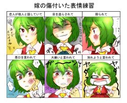 Rule 34 | 1girl, abuse, chart, expressions, female focus, hurt expressions of your wife practice, kazami yuuka, maruman, multiple drawing challenge, multiple views, tears, touhou, translation request