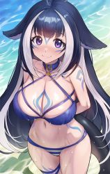Rule 34 | 1girl, banned artist, beach, bikini, blue bikini, blue collar, breasts, closed mouth, collar, indie virtual youtuber, jagaimo (kkamja), large breasts, long hair, looking at viewer, navel, ocean, purple eyes, shylily, smile, solo, swimsuit, tail, tattoo, virtual youtuber, wet