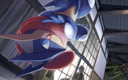 Rule 34 | bright pupils, commentary request, creatures (company), crossed arms, from below, game freak, gen 6 pokemon, greninja, hanging, mukiguri, nintendo, outdoors, pokemon, pokemon (creature), red eyes, silk, spider web, tongue, upside-down, white pupils