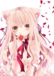 Rule 34 | 1girl, animal ears, bad id, bad pixiv id, bare shoulders, blonde hair, blush, breasts, cat ears, covered mouth, floral print, flower, flower over mouth, hair between eyes, hair censor, hair over breasts, hair ribbon, head tilt, holding, holding flower, japanese clothes, kimono, long hair, looking at viewer, medium breasts, nanase kureha, nanase nao, off shoulder, original, petals, pink kimono, print kimono, red flower, red ribbon, ribbon, simple background, solo, very long hair, white background, yellow eyes