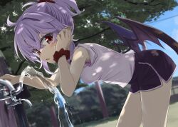 Rule 34 | 1girl, akisome hatsuka, bat wings, blue sky, blush, breasts, drinking fountain, from side, gym shorts, hair between eyes, leaning forward, lens flare, looking at viewer, medium hair, open mouth, purple hair, red eyes, remilia scarlet, scrunchie, shirt, short ponytail, short shorts, shorts, sidelocks, sky, small breasts, t-shirt, touhou, tree, water, water drop, wings, wrist scrunchie