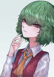 Rule 34 | 33 gaff, :|, ascot, closed mouth, collared shirt, finger to own chin, frown, green hair, kazami yuuka, looking at viewer, plaid, plaid vest, red eyes, shirt, touhou, vest