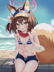 Rule 34 | 1girl, absurdres, animal ears, bare legs, beach, bikini, blue archive, blue eyes, blush, breasts, fox ears, fox tail, halo, highres, izuna (blue archive), izuna (swimsuit) (blue archive), looking at viewer, ochazuke (artist), short shorts, shorts, sitting, small breasts, solo, swimsuit, tail