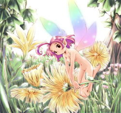 Rule 34 | 1girl, fairy, flower, jpeg artifacts, mini person, minigirl, monster girl, navel, nude, pointy ears, purple hair, solo