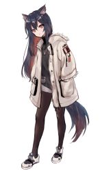 Rule 34 | 1girl, animal ear fluff, animal ears, arknights, black hair, black shirt, brown hair, brown pantyhose, closed mouth, ear piercing, full body, gradient hair, grey shorts, hair between eyes, hands in pockets, jacket, long sleeves, looking at viewer, multicolored hair, nuno (pppompon), official alternate costume, open clothes, open jacket, pantyhose, piercing, red eyes, shirt, shoes, short shorts, shorts, simple background, solo, standing, tail, texas (arknights), texas (winter messenger) (arknights), white background, white footwear, white jacket