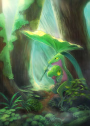 Rule 34 | closed mouth, commentary request, creatures (company), from side, game freak, gen 3 pokemon, grovyle, highres, holding, holding leaf, kikuyoshi (tracco), leaf, looking up, moss, nintendo, no humans, open mouth, outdoors, pokemon, pokemon (creature), rain, sitting, toes, tree, treecko, water drop