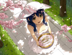 Rule 34 | 10s, 1girl, :d, bare shoulders, blue hair, braid, breasts, cherry blossoms, collarbone, day, dress, from above, grass, hat, looking at viewer, medium breasts, nature, niii (memstapak), open mouth, outdoors, petals, shokugeki no souma, smile, solo, sun hat, sundress, tadokoro megumi, tree, twin braids, white dress, white hat, yellow eyes