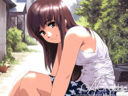Rule 34 | 1girl, breasts, gagraphic, long hair, shirayuki shoushirou, sitting, smile, solo, wallpaper