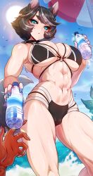 Rule 34 | 1girl, 1other, abs, animal, animal ears, beach, bikini, bird, black bikini, black hair, black sclera, blue nails, blush, bottle, breasts, cameltoe, cleft of venus, colored sclera, day, dog ears, dog tail, from below, green eyes, grey hair, hand up, highres, holding, holding bottle, large breasts, merunyaa, multicolored hair, muscular, muscular female, nail polish, navel, ocean, original, outdoors, reaching, shiny skin, solo focus, standing, swimsuit, tail, two-tone bikini, two-tone hair, water, white bikini