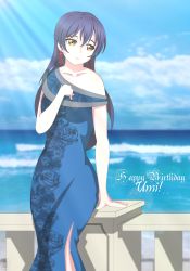 Rule 34 | 1girl, absurdres, artist name, artist request, bare shoulders, blue dress, blue hair, blue skirt, blue sky, blush, breasts, brown eyes, cloud, collarbone, day, dress, earrings, female focus, floral print, flower print, hair between eyes, hand on own chest, highres, jewelry, long hair, looking at viewer, love live!, love live! school idol project, miniskirt, ocean, outdoors, parted lips, plaid, plaid dress, plaid skirt, pleated, pleated dress, pleated skirt, skirt, sky, sleeveless, sleeveless dress, small breasts, smile, solo, sonoda umi, sunlight, yellow eyes