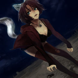 Rule 34 | 1girl, animal ears, bad id, bad pixiv id, bent over, blood, blue eyes, bra, breasts, brown hair, cleavage, extra ears, hood, hoodie, injury, jewelry, large breasts, legs, lingerie, lips, necklace, night, nimirom, original, short hair, solo, tail, thighhighs, torn clothes, torn thighhighs, underwear