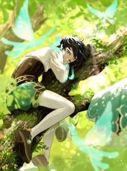 Rule 34 | 1boy, absurdres, androgynous, aqua eyes, aqua hair, bard, beret, black hair, blurry, blurry background, blurry foreground, braid, branch, brown footwear, cape, commentary, corset, depth of field, fairy, flower, genshin impact, gradient hair, green cape, green hat, green shorts, hat, hat flower, highres, in tree, leaf, lens flare, male focus, misoshiru umai4, multicolored hair, outdoors, pantyhose, short hair with long locks, shorts, side braids, smile, solo, sunlight, symbol-only commentary, teeth, transparent, tree, twin braids, twitter username, unworn cape, unworn headwear, venti (genshin impact), white flower, white pantyhose