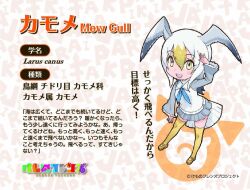 Rule 34 | 1girl, animal ears, blonde hair, common gull (kemono friends), extra ears, kemono friends, looking at viewer, multicolored hair, official art, simple background, solo, tail, white hair, yoshizaki mine