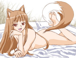Rule 34 | 00s, 1girl, animal ears, breasts, brown hair, highres, holo, long hair, medium breasts, nude, outdoors, red eyes, solo, spice and wolf, tail, wolf ears, wolf tail, zenra