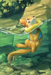 Rule 34 | :3, afloat, buizel, closed mouth, commentary, creatures (company), day, english commentary, full body, game freak, gen 4 pokemon, grey eyes, highres, looking up, nintendo, no humans, outdoors, own hands together, partially underwater shot, pokemon, pokemon (creature), rileykitty, rock, smile, solo, stick, underwater, water