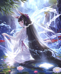 Rule 34 | 1girl, animal ears, backless outfit, bell, black hair, blunt bangs, breasts, cliff, closed mouth, cygames, dress, flower, fox ears, freckles, from behind, hair ribbon, highres, hisakata souji, hydrokinesis, jingle bell, lily pad, long hair, looking back, medium breasts, official art, pink flower, pond, purple ribbon, red eyes, ribbon, see-through, shingeki no bahamut, skirt hold, solo, spider lily, straight hair, tareme, very long hair, wading, water, waterfall, wet, wet clothes, wet dress, white dress