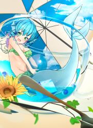 Rule 34 | 1girl, animal ears, ball, beachball, bikini, blue eyes, blue hair, blue sky, breasts, cloud, cup, day, fins, flower, full body, green eyes, groin, head fins, highres, in container, in cup, looking at viewer, medium breasts, mermaid, monster girl, open mouth, outdoors, radiosity (yousei), short hair, sky, solo, sunflower, swimsuit, touhou, umbrella, wakasagihime