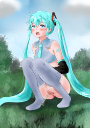 Rule 34 | 1girl, absurdres, aqua eyes, aqua hair, censored, hatsune miku, highres, looking at viewer, outdoors, peeing, pussy, solo, squatting, thighhighs, twintails, vocaloid