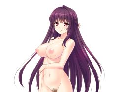 Rule 34 | 1girl, akagi rio, blush, braid, breasts, censored, cowboy shot, eyebrows, female pubic hair, game cg, groin, kasumi yuna, large breasts, legs, long hair, looking at viewer, mosaic censoring, navel, nipples, nude, pubic hair, purple hair, pussy, red eyes, simple background, smile, solo, standing, tanetsuke kyoushitsu, thighs, white background