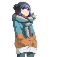 Rule 34 | 1girl, absurdres, beanie, blue hair, hands in pockets, hat, highres, jacket, pink eyes, scarf, shima rin, solo, white background, yasu (pixiv), yurucamp