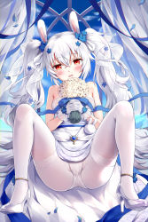 Rule 34 | 1girl, absurdres, animal ears, anklet, azur lane, blue flower, blue ribbon, bouquet, breasts, commentary request, devil heavens, dress, flower, full body, gloves, hair between eyes, hair flower, hair ornament, hair ribbon, high heels, highres, holding, holding bouquet, jewelry, laffey (azur lane), laffey (white rabbit&#039;s oath) (azur lane), long hair, looking at viewer, m legs, official alternate costume, panties, panties under pantyhose, pantyhose, parted lips, petals, rabbit ears, red eyes, revision, ribbon, sitting, small breasts, solo, spread legs, twintails, underwear, very long hair, white dress, white flower, white footwear, white gloves, white hair, white panties, white pantyhose, white ribbon