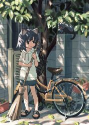 Rule 34 | 1girl, animal ear fluff, animal ears, bicycle, black eyes, broom, building, cat, cat ears, cat girl, cat tail, commentary, day, drawstring, full body, grey cat, grey hair, grey shorts, highres, holding, holding broom, hood, hood down, hoodie, leaf, looking to the side, medium hair, nerio (neri akira), original, outdoors, parted lips, polka dot footwear, short sleeves, shorts, slippers, solo, standing, sweeping, tail, tree, white hoodie