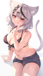 Rule 34 | 1girl, absurdres, animal ear fluff, animal ears, aoi zerii, bare shoulders, bikini, black bikini, black hair, blush, braid, breasts, cat ears, cat girl, cat tail, cleavage, front-tie bikini top, front-tie top, grey hair, hair ornament, highres, hololive, large breasts, licking lips, looking at viewer, medium hair, multicolored hair, navel, red eyes, sakamata chloe, streaked hair, swimsuit, tail, thighs, tongue, tongue out, virtual youtuber, x hair ornament