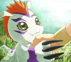 Rule 34 | 2girls, digimon, fangs, gomamon, grass, green eyes, handshake, highres, kido jo, looking at another, multiple girls
