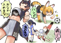 Rule 34 | 4girls, :3, adapted costume, animal ears, ball, bird girl, bird tail, bird wings, black hair, black shorts, blonde hair, blue shirt, blue shorts, cat ears, cat girl, cat tail, cleats, commentary request, emperor penguin (kemono friends), extra ears, fangs, flying, head wings, highres, japanese crested ibis (kemono friends), kemono friends, multicolored hair, multiple girls, murakami kou (raye), penguin girl, penguin tail, print legwear, red hair, red thighhighs, serval (kemono friends), serval print, shirt, short hair, short sleeves, shorts, sidelocks, soccer ball, soccer uniform, socks, sportswear, t-shirt, tail, tasmanian devil (kemono friends), tasmanian devil ears, tasmanian devil tail, thighhighs, translation request, two-tone shorts, white hair, white shorts, white socks, wings, zettai ryouiki