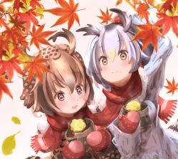 Rule 34 | 10s, 2girls, amaoto kaeru, autumn, autumn leaves, bird tail, black hair, blush, brown hair, commentary request, eating, eurasian eagle owl (kemono friends), fang, food, food on face, fur trim, hand on own head, head wings, kemono friends, leaf, looking up, maple leaf, mittens, multicolored hair, multiple girls, northern white-faced owl (kemono friends), open mouth, potato, roasted sweet potato, scarf, shared clothes, shared scarf, sweet potato, tail, two-tone hair, white hair, wings