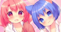 Rule 34 | 2girls, animal ears, blue eyes, blue hair, blush, cat ears, closed mouth, collarbone, collared shirt, commentary request, hair between eyes, highres, long sleeves, looking at viewer, multiple girls, nose blush, onka, open mouth, original, oversized clothes, oversized shirt, pink background, pink hair, polka dot, polka dot background, rabbit ears, red eyes, sakura (usashiro mani), shirt, sleeves past fingers, sleeves past wrists, sweat, tears, usashiro mani, white shirt