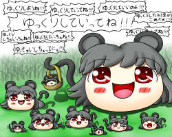 Rule 34 | animal ears, basket, blush stickers, closed eyes, female focus, grey hair, mouse ears, mouse tail, nazrin, no humans, open mouth, red eyes, shishou no deshi, tail, tail wagging, touhou, translation request, wink, yukkuri shiteitte ne