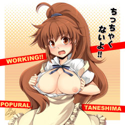 Rule 34 | 1girl, ahoge, apron, blush, breasts, breasts out, brown eyes, brown hair, english text, engrish text, female focus, large breasts, looking at viewer, nipples, open clothes, open shirt, ponytail, ranguage, shirt, signature, solo, taneshima popura, tears, windart, working!!