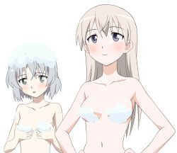 Rule 34 | 00s, 2girls, bath, blush, censored, convenient censoring, eila ilmatar juutilainen, green eyes, highres, multiple girls, nude, sanya v. litvyak, strike witches, transparent background, vector trace, world witches series