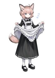 Rule 34 | 1girl, absurdres, ahoge, alternate costume, animal ear fluff, animal ears, apron, apron lift, arknights, black dress, black footwear, blue eyes, brown hair, closed mouth, clothes lift, collared dress, commentary request, dress, enmaided, fox ears, fox girl, fox tail, frilled apron, frills, heizi434, highres, long sleeves, looking at viewer, maid, maid apron, pantyhose, shoes, short hair, simple background, solo, sussurro (arknights), tail, white apron, white background, white pantyhose
