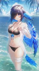 Rule 34 | 1girl, absurdres, ahoge, bandaged leg, bandages, banned artist, bare shoulders, bikini, black bikini, black hair, blue eyes, blue nails, breasts, cleavage, collarbone, colored inner hair, commission, day, feathered wings, front-tie bikini top, front-tie top, groin, hair over one eye, halterneck, hands up, head wings, highres, jacket, large breasts, long sleeves, looking at viewer, mellozzo, multicolored hair, nail polish, navel, off shoulder, open clothes, open jacket, original, outdoors, parted lips, second-party source, short hair, solo, standing, stomach, strap pull, string bikini, sunlight, swimsuit, tail, thighs, two-tone hair, wading, water, wet, white jacket, wings