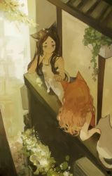 Rule 34 | 2girls, absurdres, animal ears, balcony, bare shoulders, black camisole, black hair, building, camisole, cat, chinese commentary, collarbone, commentary request, day, expressionless, flower, fox ears, from above, green eyes, highres, hikimayu, leaf, leaning back, long hair, mubu, multiple girls, orange hair, original, outdoors, petting, plant, spaghetti strap, wavy hair, white cat, white flower
