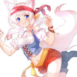 Rule 34 | 1girl, ahoge, animal ear fluff, animal ears, bare shoulders, blush, claw pose, crop top, fox ears, fox girl, fox tail, grin, hands up, highres, howan (show by rock!!), long hair, looking at viewer, midriff, nail polish, navel, nyama, off-shoulder shirt, off shoulder, puffy short sleeves, puffy sleeves, red nails, red shorts, shirt, short eyebrows, short shorts, short sleeves, shorts, show by rock!!, simple background, smile, solo, tail, thick eyebrows, white background, white hair, white shirt