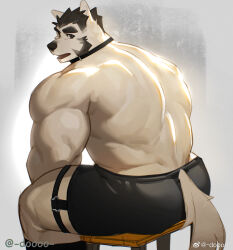 Rule 34 | 1boy, animal ears, ass, back muscles, bara, dog boy, dog ears, dog tail, doooo (doooo24), feet out of frame, from behind, furry, furry male, highres, huge eyebrows, looking at viewer, male focus, mature male, muscular, muscular male, mutton chops, original, short hair, sitting, solo, strongman waist, tail, thick thighs, thighs, topless male, white fur