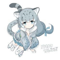 Rule 34 | 10s, 1girl, animal ears, animal print, blue eyes, blue ribbon, blue skirt, blunt bangs, blush, blush stickers, cat ears, cat tail, clenched hand, collar, commentary request, copyright name, eyelashes, frilled shirt, frilled sleeves, frills, from above, fur collar, grey hair, hair ornament, hair ribbon, invisible chair, kanemaru (knmr fd), kemono friends, knmr (knmr fd), leopard ears, leopard print, leopard tail, long hair, long sleeves, looking at viewer, looking away, low-tied long hair, multicolored hair, official art, pleated skirt, ribbon, sandals, shirt, sidelocks, simple background, sitting, skirt, smile, snow leopard (kemono friends), socks, solo, tail, tareme, thighhighs, white background, white hair, wide sleeves, zettai ryouiki