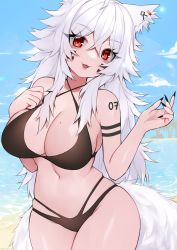 Rule 34 | 1girl, absurdres, animal ears, beach, bikini, black bikini, black nails, blush, borrowed character, breasts, cleavage, collarbone, commission, criss-cross halter, day, facial mark, fang, fingernails, fox ears, fox girl, fox tail, halterneck, highres, large breasts, long hair, looking at viewer, messy hair, mole, mole on breast, nail polish, navel, nemuaki, original, outdoors, parted lips, sharp fingernails, shiny skin, skin fang, smile, solo, swimsuit, tail, white hair