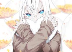 Rule 34 | 1girl, blue eyes, blurry, blurry background, blurry foreground, brown sweater, commentary request, covered mouth, falling petals, heart, heart-shaped pillow, highres, long hair, long sleeves, looking at viewer, hugging object, original, petals, pillow, solo, sweater, upper body, white hair, yagi (shiro yagi)