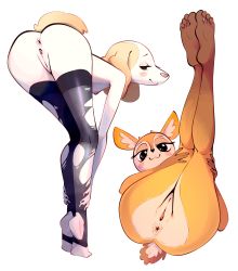 Rule 34 | 2girls, :3, absurdres, aggressive retsuko, animal ears, animal nose, anus, ass, bent over, black nails, black thighhighs, blush stickers, breasts, cleft of venus, closed mouth, dog ears, dog girl, dog tail, eyelashes, feet, female focus, fingernails, full body, furry, furry female, half-closed eyes, hands on own legs, highres, horns, inui (aggretsuko), kneepits, legs up, looking at viewer, lying, multiple girls, nail polish, nipples, nude, on back, orange fur, pussy, simple background, small breasts, snout, soles, sparkling eyes, standing, stirrup legwear, tail, thighhighs, thighs, tiptoes, toeless legwear, toes, topless, torn clothes, torn legwear, torn thighhighs, tsunoda (aggretsuko), two-tone fur, white background, white fur, xu53r