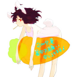Rule 34 | 1girl, animal ears, bent over, breast press, brown hair, carrot, egawa satsuki, female focus, inaba tewi, mouth hold, one-piece swimsuit, popsicle stick, rabbit ears, rabbit girl, rabbit tail, red eyes, short hair, solo, swimsuit, tail, touhou, transparent