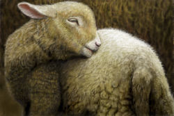 Rule 34 | animal, animal focus, closed eyes, lamb, no humans, original, realistic, sheep, toshi (hokkaido2015), wool