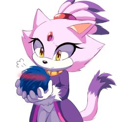 Rule 34 | 1boy, 1girl, animal, animal ears, animalization, bad id, bad twitter id, blaze the cat, blue fur, blush, cat ears, cat girl, cat tail, eyelashes, forehead jewel, fur-trimmed gloves, fur trim, furry, furry female, gloves, gold necklace, hedgehog, hedgehog ears, highres, holding, holding animal, jacket, jewelry, mikune19, necklace, pants, ponytail, purple fur, purple jacket, simple background, smile, sonic (series), sonic the hedgehog, tail, white background, white gloves, white pants, yellow eyes