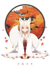 Rule 34 | 1girl, absurdres, ahoge, animal ear fluff, animal ears, autumn leaves, blush, closed mouth, commentary request, coreytaiyo, full body, hair between eyes, hakama, hakama skirt, highres, japanese clothes, kimono, leaf, long hair, long sleeves, looking at viewer, maple leaf, original, red eyes, red hakama, ribbon-trimmed sleeves, ribbon trim, skirt, sleeves past wrists, smile, solo, tail, translation request, very long hair, white hair, white kimono, wide sleeves