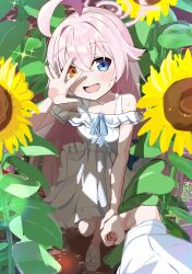 Rule 34 | 1girl, 1other, absurdres, ahoge, blue archive, blue eyes, blush, collarbone, dress, fang, flower, hair between eyes, halo, highres, hoshino (blue archive), long hair, looking at viewer, open mouth, pink hair, pink halo, solo focus, sundress, sunflower, thomason366, white dress, yellow eyes, yellow flower