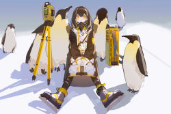 Rule 34 | 1girl, absurdres, animal, arknights, artist request, bird, black pantyhose, brown hair, camera, commentary request, ear piercing, earrings, gas mask, gloves, hair between eyes, highres, jacket, jewelry, jiangshi, light, long jacket, long sleeves, looking at viewer, magallan (arknights), mask, unworn mask, medium hair, mouth mask, multicolored hair, outdoors, pantyhose, parted lips, penguin, piercing, respirator, shadow, sitting, skates, solo, streaked hair, white gloves, white hair, yellow eyes